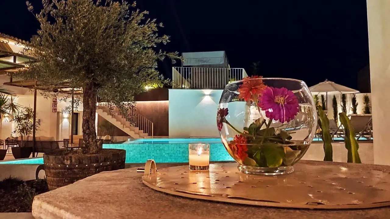 Ynaira Hotel & Spa Ariany 4*,  Spain