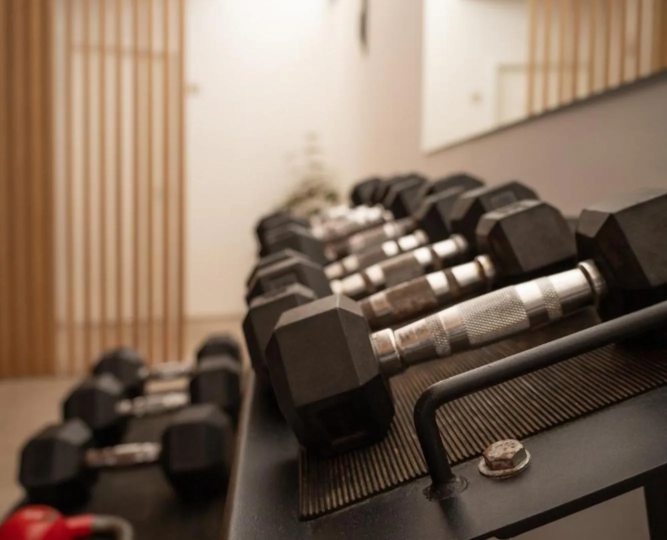Ynaira Hotel & Spa Ariany Spain